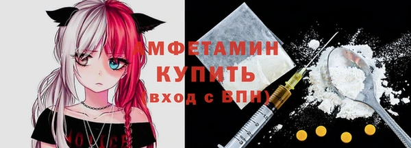 apvp Вяземский