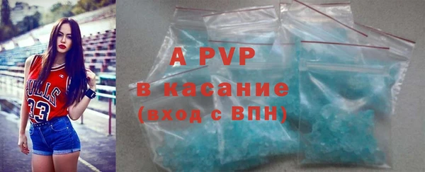 apvp Вяземский