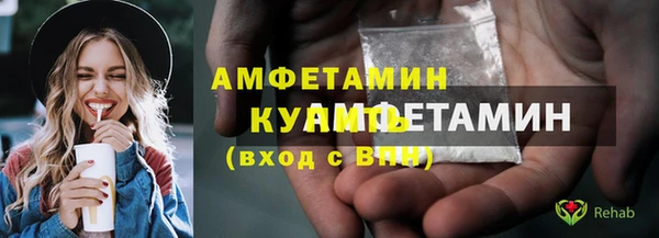 индика Вязники