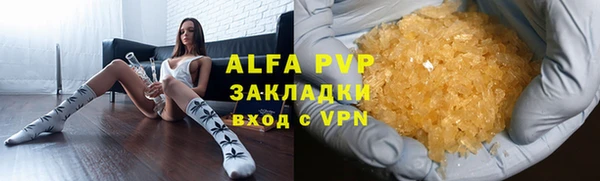 индика Вязники