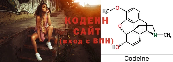 apvp Вяземский