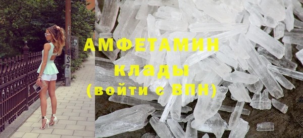 индика Вязники