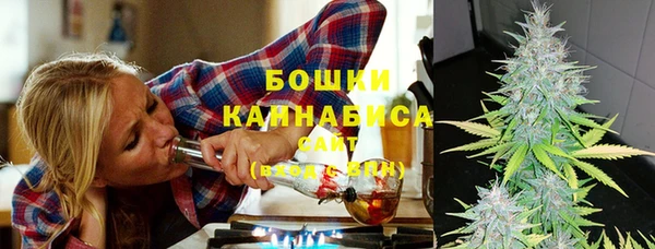 амф Вязьма