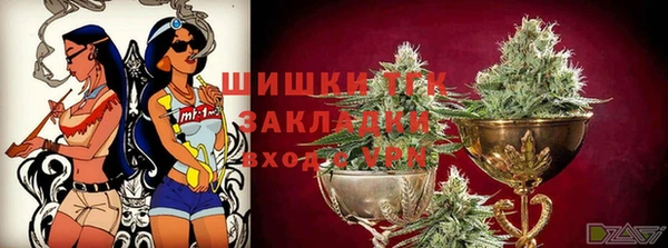 индика Вязники