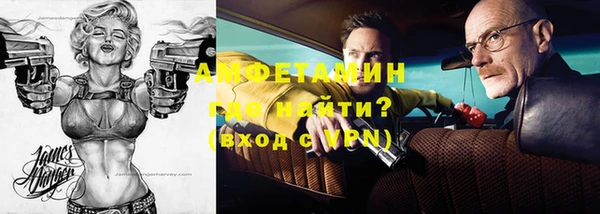apvp Вяземский