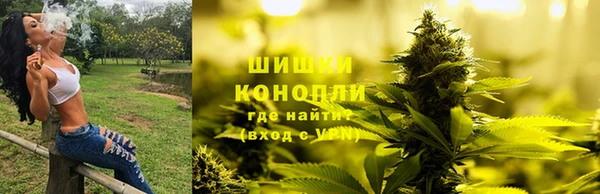 индика Вязники